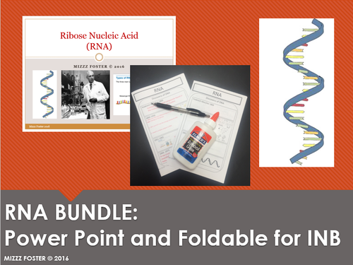 RNA Bundle: Power Point and Graphic Organizer for Interactive Notebook