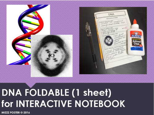 DNA Foldable for Interactive Notebook