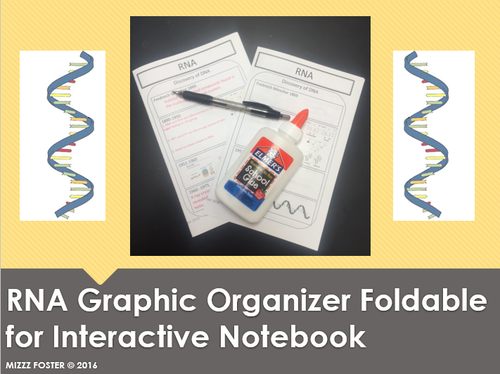 RNA Graphic Organizer Foldable for Interactive Notebook