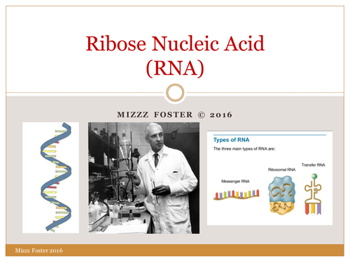 RNA Power Point