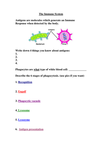 New AQA AS Biology - Immunity Revision Work Sheet  (10 sheets)