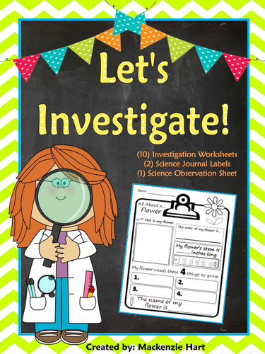 Let's Investigate! 10 Investigation Worksheets