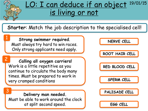 MRS GREN active learning lesson - differentiated