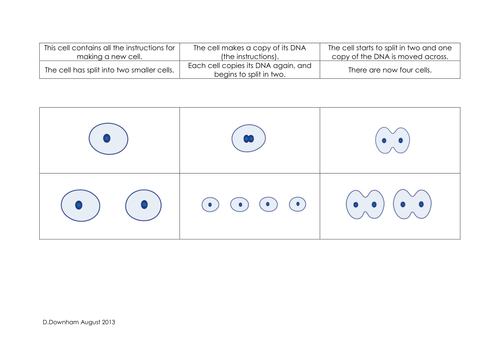 7A Cells Scheme of work