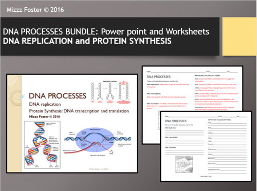 Dna Processes Bundle Dna Replication And Protein Synthesis Power Point And Worksheets With Key Teaching Resources