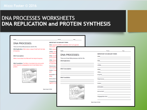 DNA Processes: DNA Replication and Protein Synthesis Worksheets with