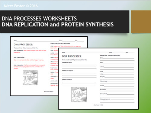 DNA Processes: DNA Replication and Protein Synthesis Worksheets with Key