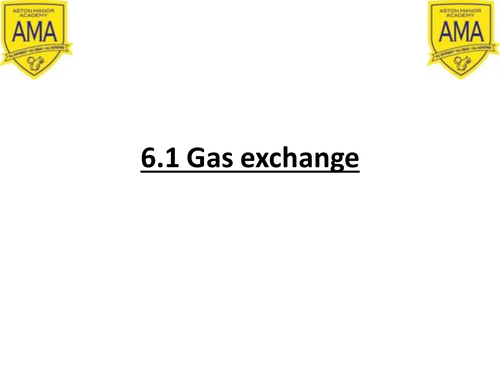 New AQA A Level  year 1 Gas exchange 6.1 and 6.2