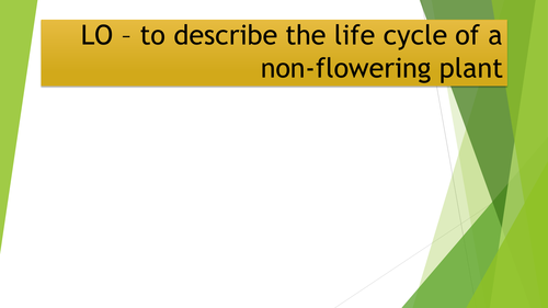 Non-flowering plant cycle