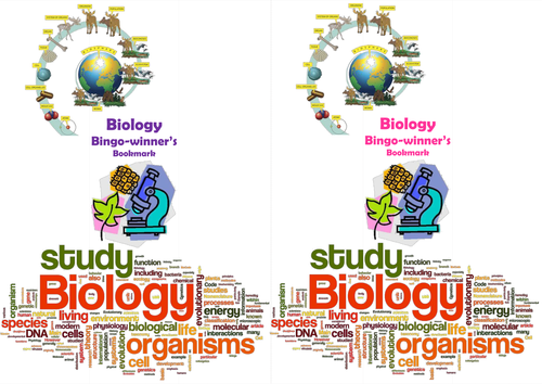 Biology bingo-winner bookmark