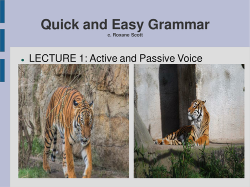 Easy Grammar! Active and Passive Voice Presentation.