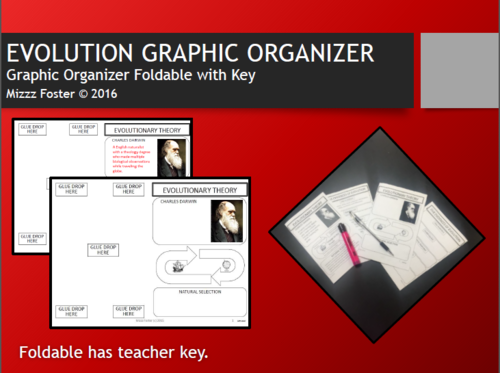 Evolution Graphic Organizer Fold-Out Foldable with Key