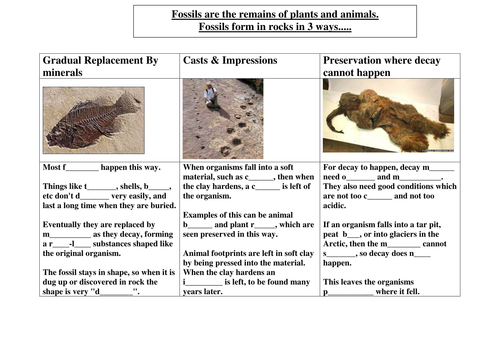 GCSE AQA Additional Science Biology - Fossils, Extinction & Speciation ppt and 4 wsheets
