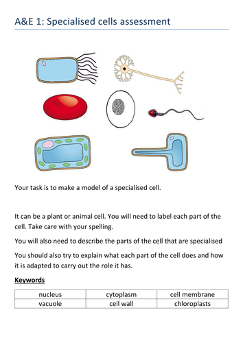 Life without levels written assessments for KS3 (Year 7)