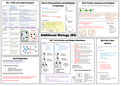 B2 mind map / summary sheet