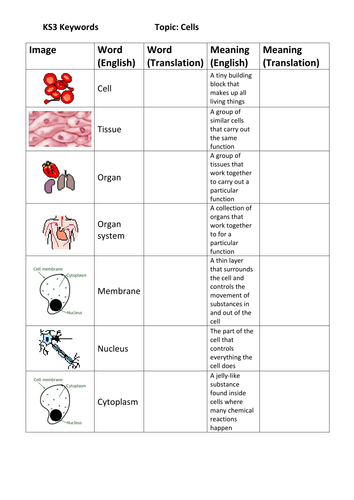 ks3 science literacy homework differentiated eal sen by