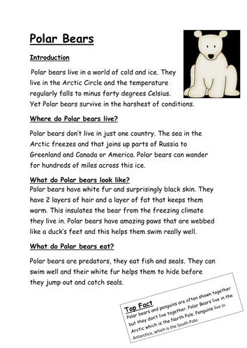 Polar Bears and Penguins Lessons