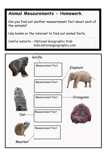 for animal worksheet school middle 5th  Complete Math measurement Grade lesson inches,  feet