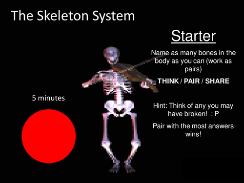 GCSE PE, Skeleton and Joints