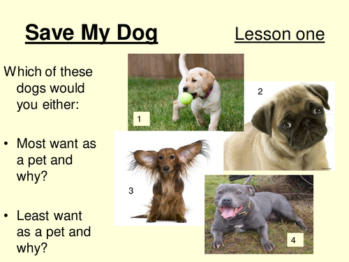 Teaching persuasive writing based on Animals