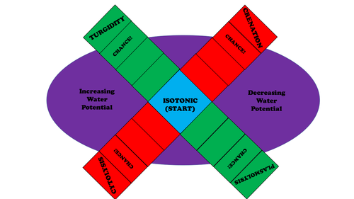 Osmosis Themed Board Game for Year 12