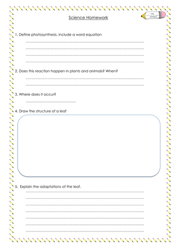 Photosynthesis Homework