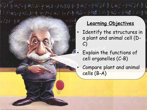 AQA Biology B2 - whole unit - 20 lessons plus resources (40 file bundle)