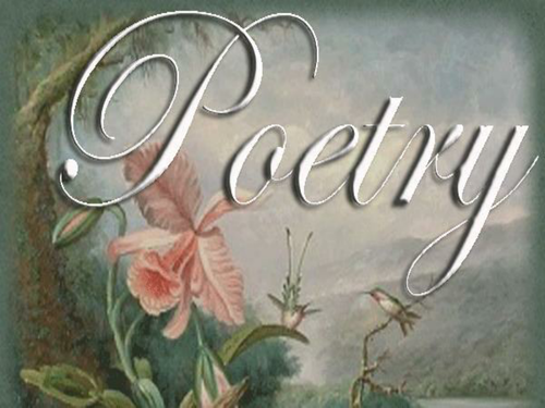 Poetry Introductory Lesson