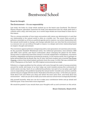 The Environment – It’s our responsibility