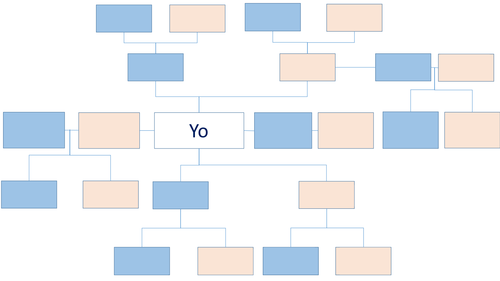 Family Tree  and Word Order