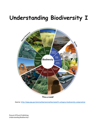 Understanding Biodiversity I