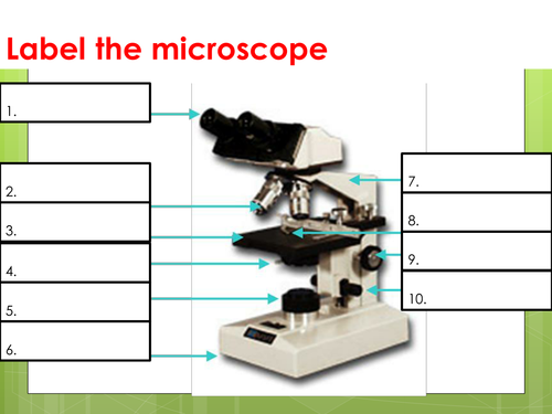 electron microscope with labels