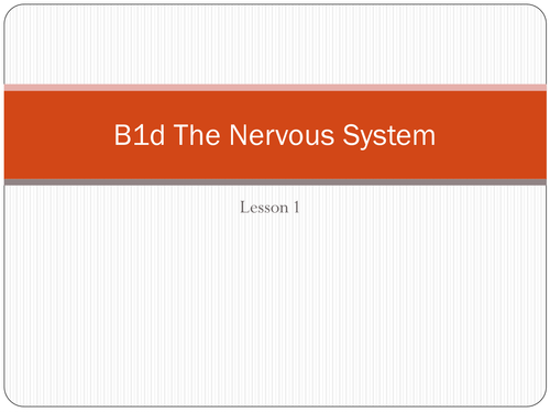 The Nervous System GCSE Biology OCR B1d
