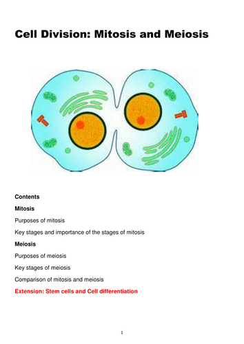 Mitosis, meiosis, inheritance and an introduction to cancer terminology