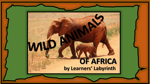 Science- KS1 - Habitats - Wild Animals of Africa