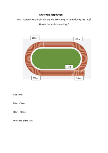 Anaerobic Respiration