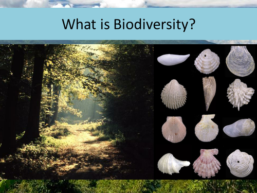 Evolution and speciation: Presentation with activities