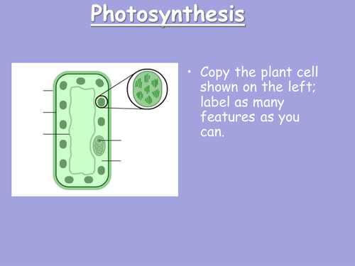 Photosynthesis, Limiting factors and transpiration: Powerpoint presentation with activities 