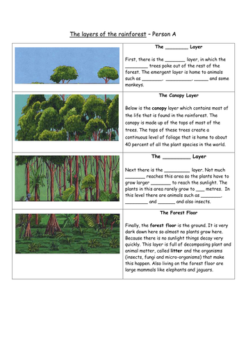 Rainforest homework ks2