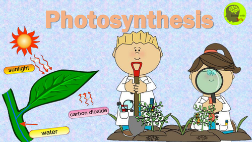 Photosyntesis Presentation | Teaching Resources