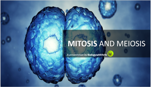 Mitosis And Meiosis Powerpoint Presentation Teaching