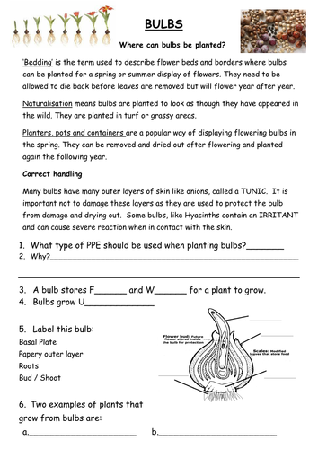 Flowering Bulbs (booklet)