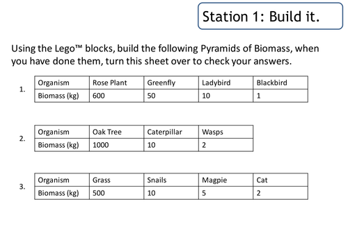 AQA B1.5 Energy in Biomass revision stations