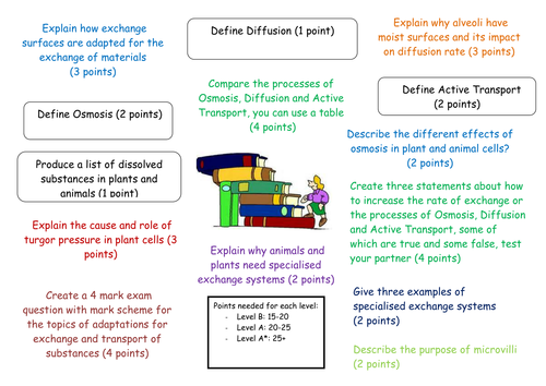 Points Machine Revision: AQA B3 Ventilation,  Diffusion Adaptations, Homeostasis & Transpiration