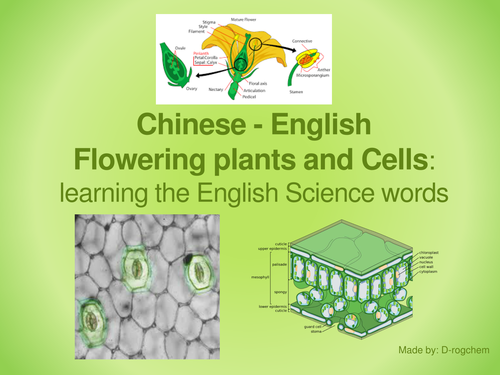 Biology: Scientific English for Chinese Students - flowering plants, leaves and plant cells
