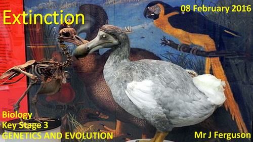 Extinction (Hybridisation of Wildcats)