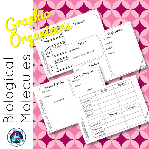 Biological Molecules Graphic Organizers