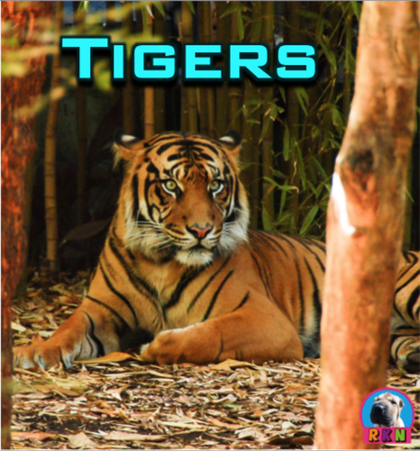 Tigers - Powerpoint & Activities | Teaching Resources