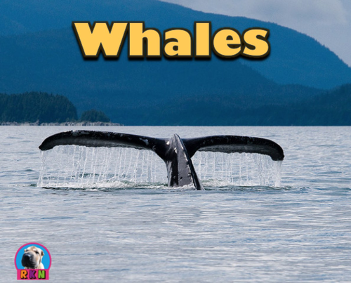 Whales - Powerpoint & Activities