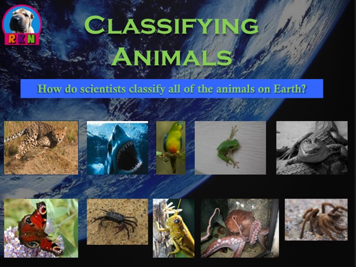 Classifying Animals Powerpoint